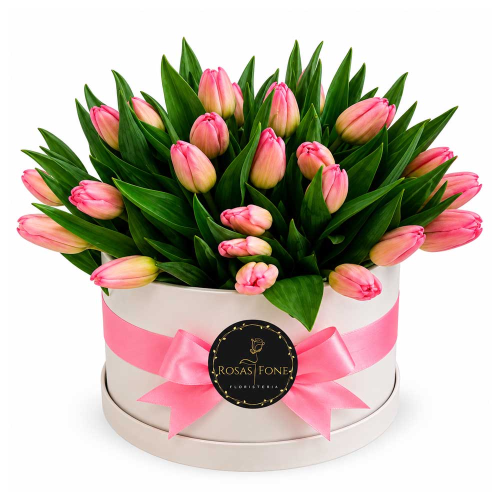 img-producto-box-de-24-Tulipanes-en-caja-importada-01 Box de 24 Tulipanes en caja importada - Imagen 1