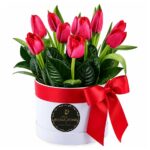 Box Floral amor de 10 tulipanes